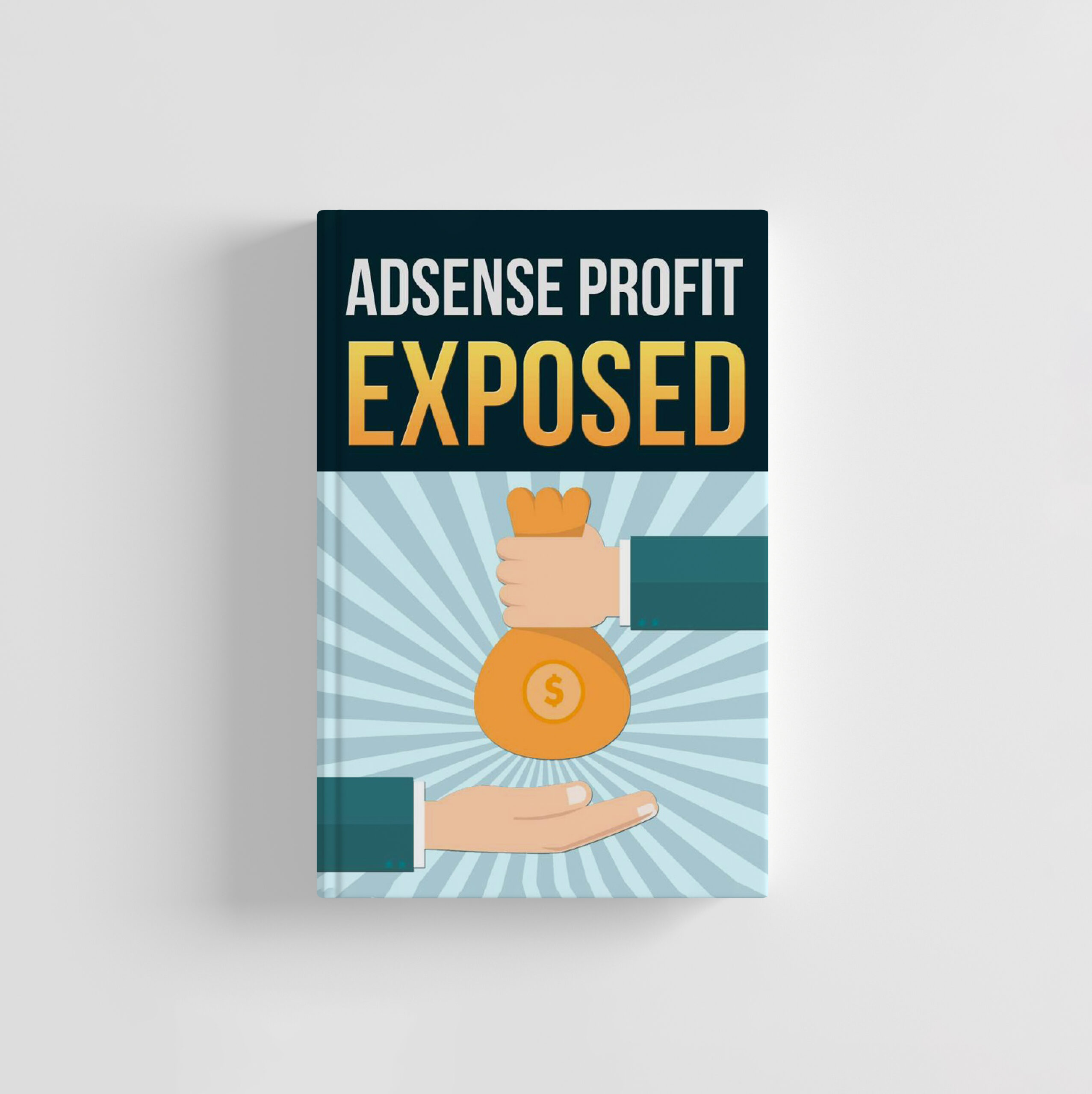 adsense-profit-exposed